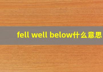 fell well below什么意思